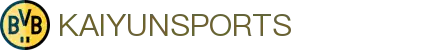 开云·体育（官网）-官方登录入口-KAIYUNSPORTS